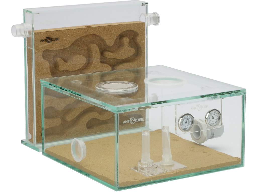 ANTCUBE Starter Kit L - 20x20 - Cork